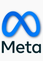 Meta logo representing the Meta advertising and social media technology platform