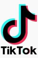 TikTok logo representing the TikTok social media and short-video advertising platform
